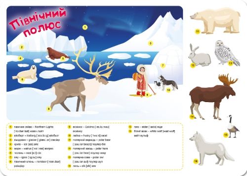 Книга підручник з наклейками "Funny English. Північний полюс"