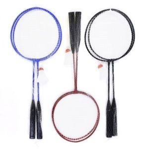 Бадмінтон в сітці