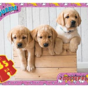 Пазли "Три цуценятко", 35 ел