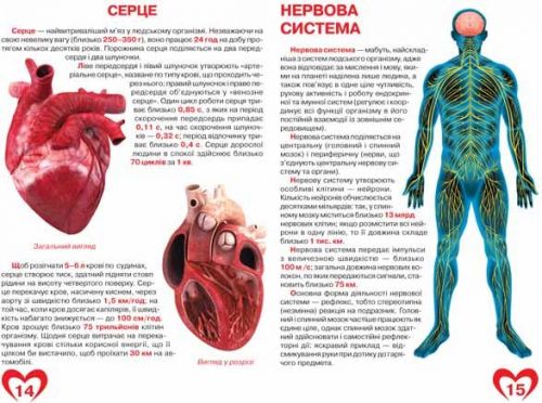 Книга "Велика книга. Анатомія людини" (укр)