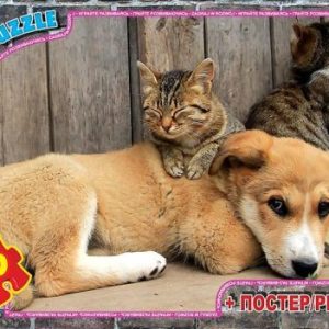 Пазли "Домашні улюбленці", 70 ел