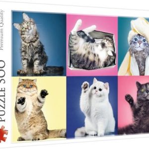 Пазли "Котики", 500 елементів