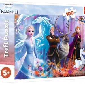 Пазли "Холодне серце", 100 елементів