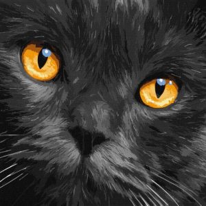 Картина за номерами "Бурштинові очі" ★★★