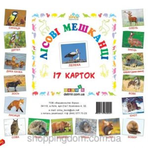 Картки міні Лісові мешканці (110х110 мм)