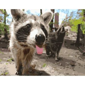 Картина за номерами "Веселий єнотик" ★★★