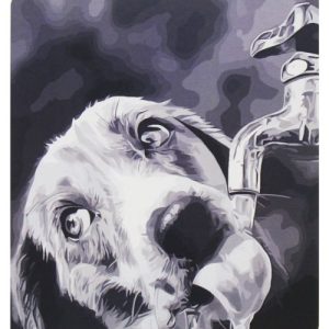 Картина за номерами "Жага"