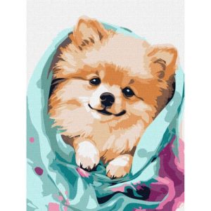 Картина за номерами "Щасливий шпіц" 30х40 см ★★★