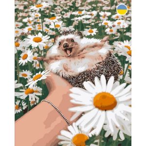 Картина по номерах "Веселий їжак у ромашках" 40x50 см