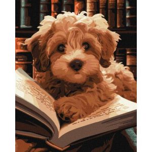 Картина за номерами "Пухнастий читач" 40х50 см