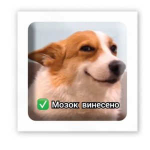 3D стікер "Мозок винесено" (ціна за 1 шт)