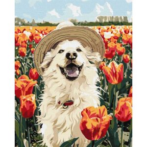 Картина по номерах "Щасливий лабрадор" 40х50 см
