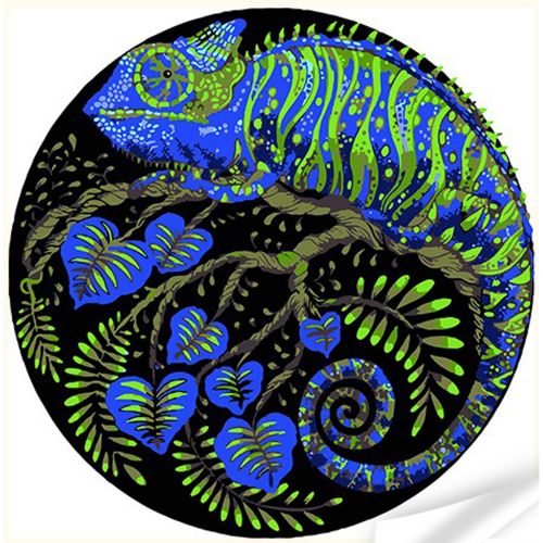 Вініл за номерами "Хамелеон" (30х30 см.)