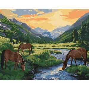 Картина по номерах "Передсвітанковий час" 40х50 см