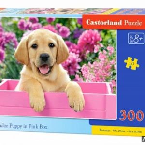 Пазли "Щеня лабрадора" (300 елементів)