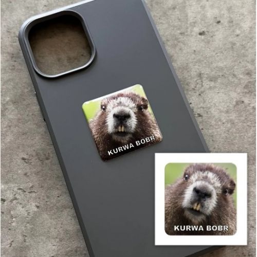 3D стікер "Bobr" (ціна за 1 стікер)