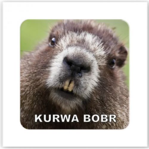 3D стікер "Bobr" (ціна за 1 стікер)