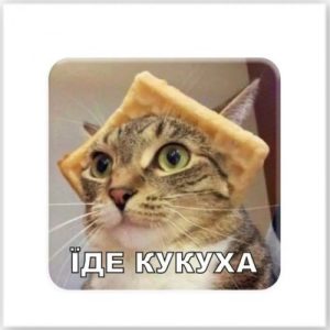 3D стікер "Їде кукуха" (ціна за 1 стікер)