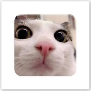 3D стікер "Я все бачу" (ціна за 1 стікер)