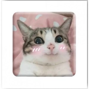 3D стікер "Милий котик" (ціна за 1 стікер)