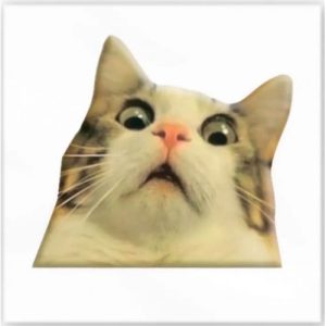 3D стікер "Здивований котик" (ціна за 1 стікер)