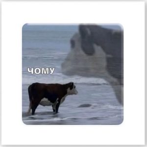 3D стікер "Чому" (ціна за 1 стікер)