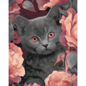 Картина за номерами "Сірий котик" 40х50 см