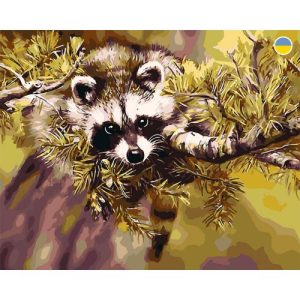 Картина по номерах "Єнот на гілці" 40х50 см