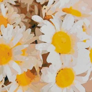 Алмазна мозаїка "Букет ромашок" 30х30 см