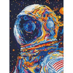 Алмазна мозаїка "Погляд у вічність" 30х40 см
