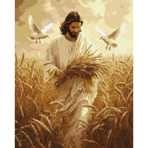 Картина за номерами "Жнива віри" 40х50 см