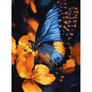 Картина по номерах "Мерехтіння крил" 30х40 см