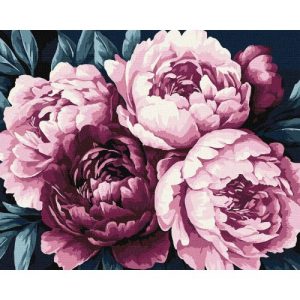 Картина по номерах "Ніжні пелюстки" 40х50 см