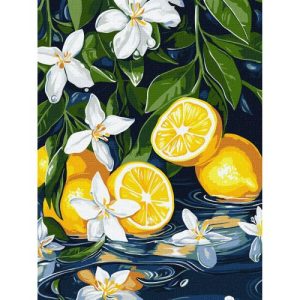 Картина по номерах "Лимон у розрізі" 30х40 см