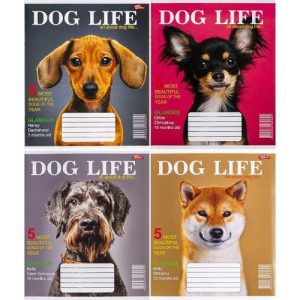 Зошит кольоровий 12 аркушів, клітинка (20 штук в упаковці)