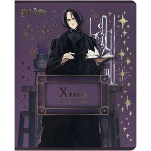 Зошит предметн. 48 арк., кл., фольга+УФ, HP, хімія