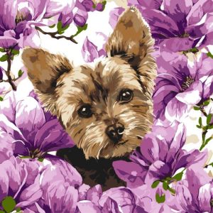 КАРТИНА ПО НОМЕРАХ "ЙОРК В МАГНОЛІЇ" 40Х40 СМ