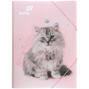 Папка на гумці А4, R