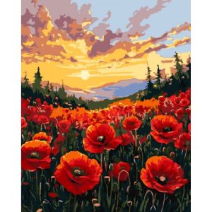 Картина за номерами "Поле маків" 40х50 см