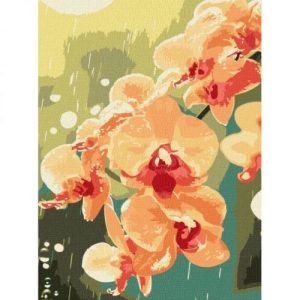 Картина за номерами "Орхідея в краплях" 30x40см