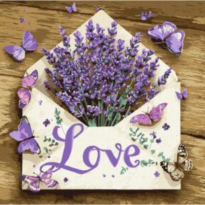 Картина за номерами "Лаванда в конверті" 40x40см