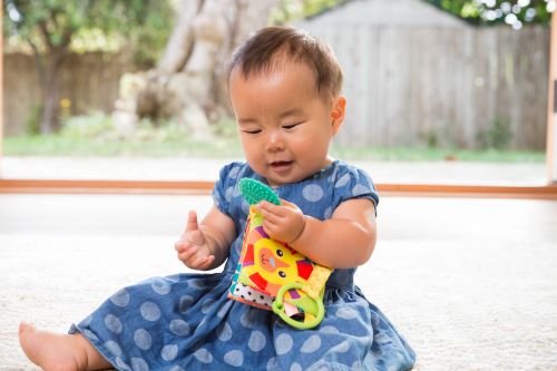 INFANTINO Навісна книга з прорізувачем Тварини