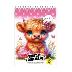 Розмальовка з наліпками 105 х 148 мм.12 ар. (WHAT IS YOU NAME?)