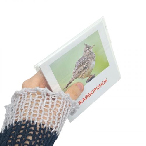 Картки міні Кольори BLUE (110х110 мм)