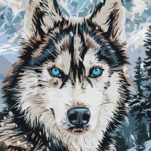 Картина за номерами - "Очі півночі" ©art_selena_ua, 30х40см