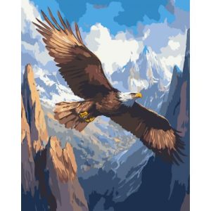 Картина по номерам "Політ над безмежжям" 40*50 см