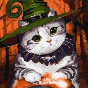 Картина за номерами - Котик-чарівник 30х40