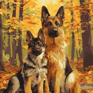 Картина за номерами - Лісові друзі 40х50 см.