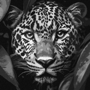 Картина за номерами - Леопард на полюванні 30х40 см.