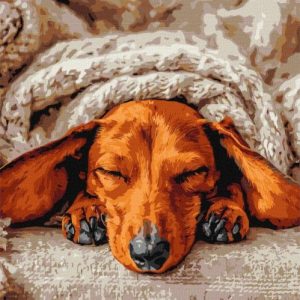 Картина за номерами - Солодкий спокій 40х40 см.